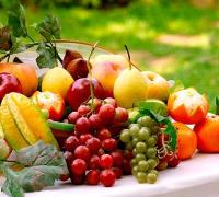 农产品安全警钟长鸣，农安委应运而生 　　　　　　　　　　　　　　　　　　　　　　