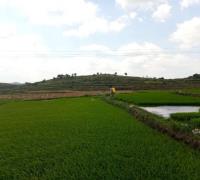 中华人民共和国农业农村部令 2021年 第1号 　　　　　　　　　　　　　　　　　　　