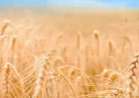 农业农村部关于加快农业全产业链培育发展的指导意见 　　　　　　　　　　　　　　　